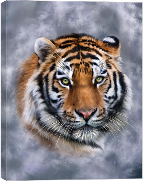 Sky Tiger Canvas Print by Julie Hoddinott