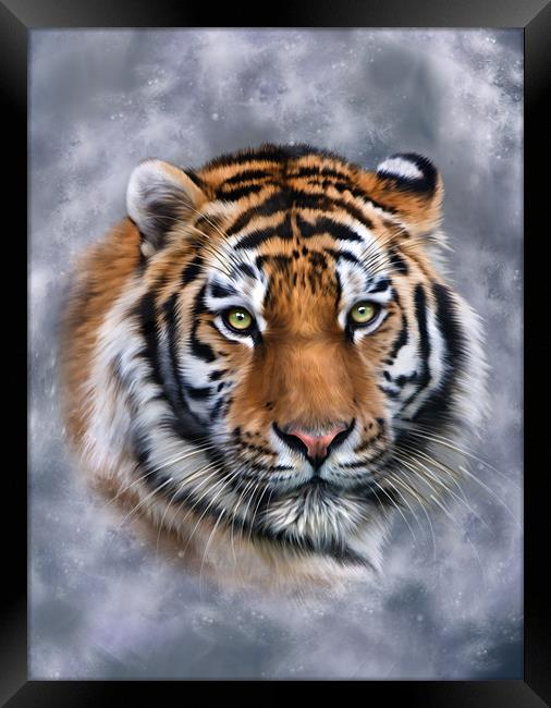 Sky Tiger Framed Print by Julie Hoddinott