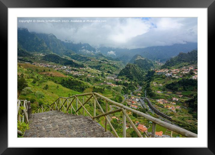 The Greens of Madeira Framed Mounted Print by Gisela Scheffbuch