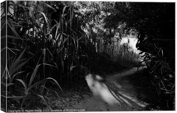 Beach Path from the Resort in Monochrome Canvas Print by Angelo DeVal
