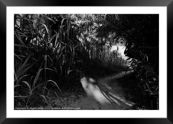 Beach Path from the Resort in Monochrome Framed Mounted Print by Angelo DeVal