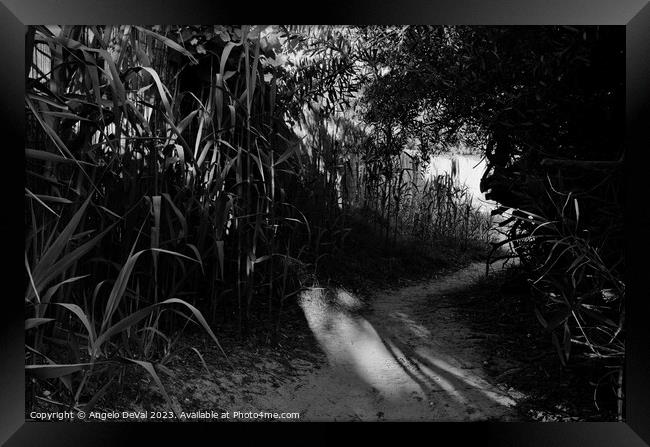 Beach Path from the Resort in Monochrome Framed Print by Angelo DeVal