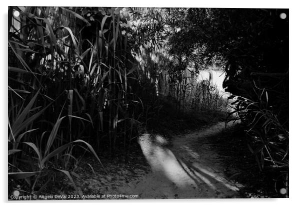Beach Path from the Resort in Monochrome Acrylic by Angelo DeVal