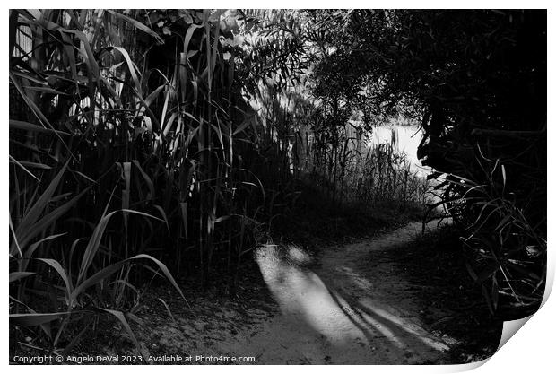 Beach Path from the Resort in Monochrome Print by Angelo DeVal