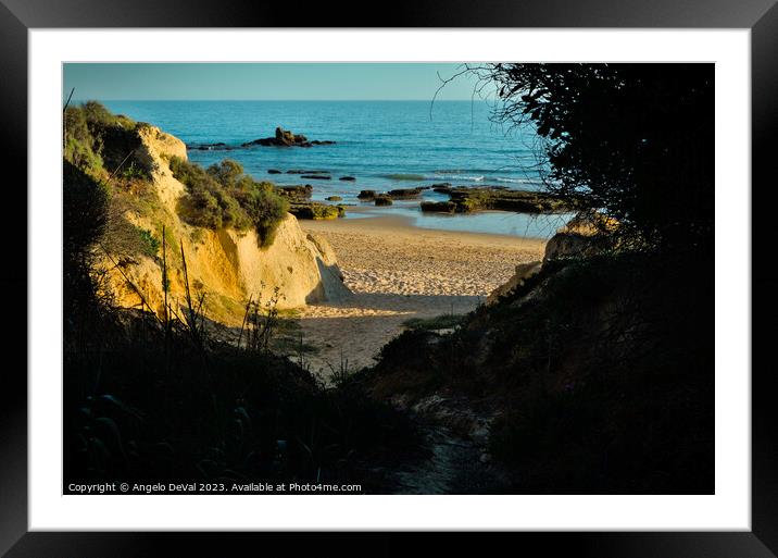 Hidden Nature of Gale Beach Framed Mounted Print by Angelo DeVal