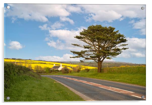 Rapeseed road, Helston Cornwall Acrylic by kathy white