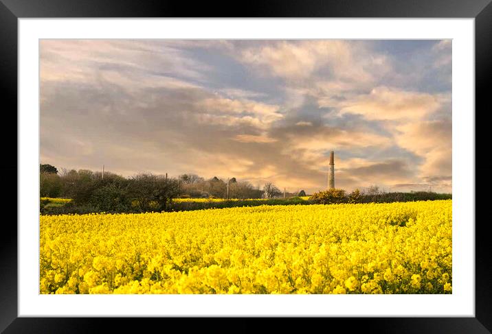 Golden Fields of Cornwall Framed Mounted Print by kathy white