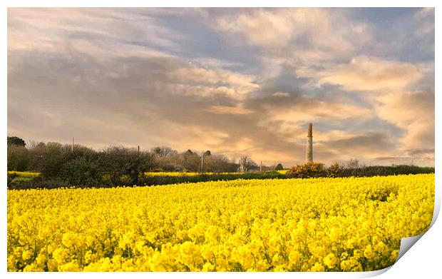 Golden Fields of Cornwall Print by kathy white