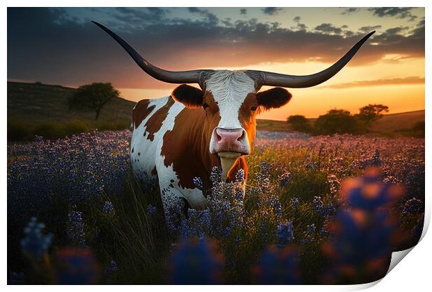 exas longhorn cow, bluebonnets at sunset Print by Delphimages Art