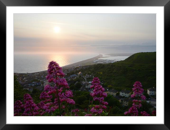 View From Portland Heights Framed Mounted Print by David Neighbour