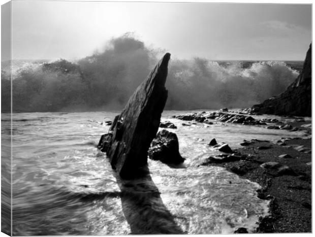 Ayrmer Wave Black and White Canvas Print by David Neighbour