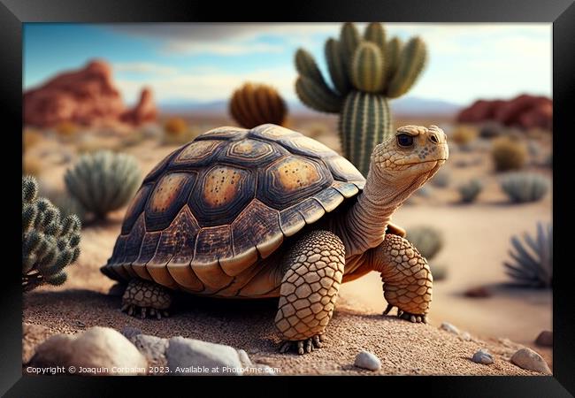 A turtle walks through the desert, an arid landsca Framed Print by Joaquin Corbalan