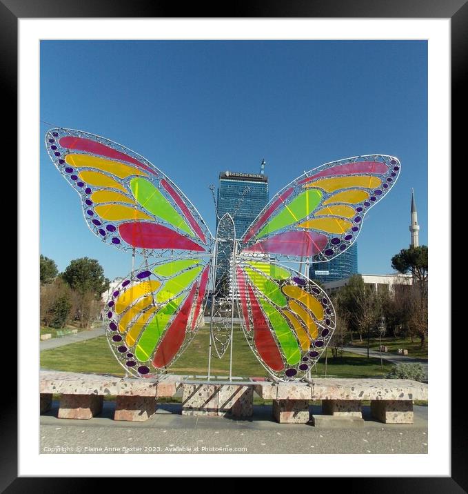 Stained Glass Butterfly Sculpture  Framed Mounted Print by Elaine Anne Baxter