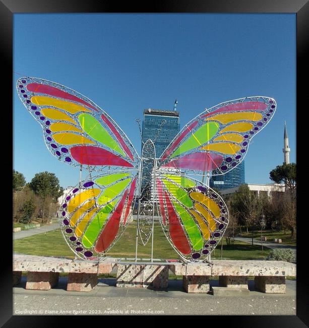 Stained Glass Butterfly Sculpture  Framed Print by Elaine Anne Baxter