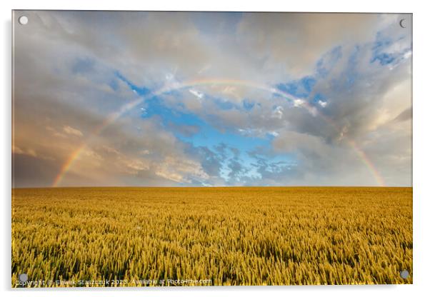 Over the Rainbow Acrylic by Slawek Staszczuk