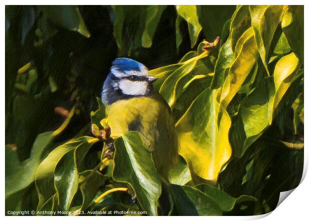 Bird In The Bush Print by Anthony Moore