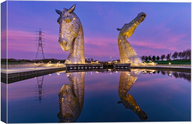 Yellow Kelpies Canvas Print by Kevin Winter