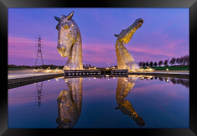 Yellow Kelpies Framed Print by Kevin Winter