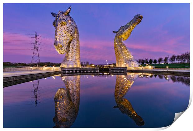 Yellow Kelpies Print by Kevin Winter