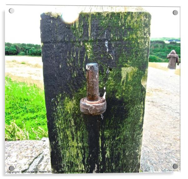 Old gate post Acrylic by Stephanie Moore