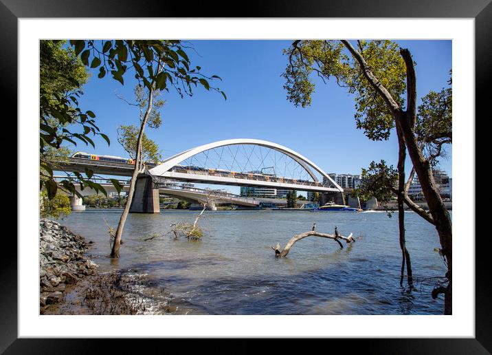 Brisbane Merivale Bridge over the Brisbane River Framed Mounted Print by Antonio Ribeiro