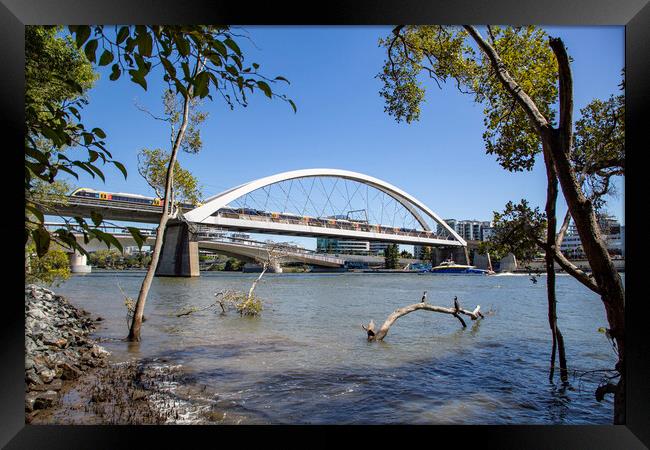 Brisbane Merivale Bridge over the Brisbane River Framed Print by Antonio Ribeiro