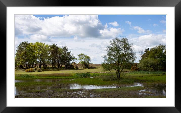 Tranquil Oasis at Hatchet Pond Framed Mounted Print by Derek Daniel