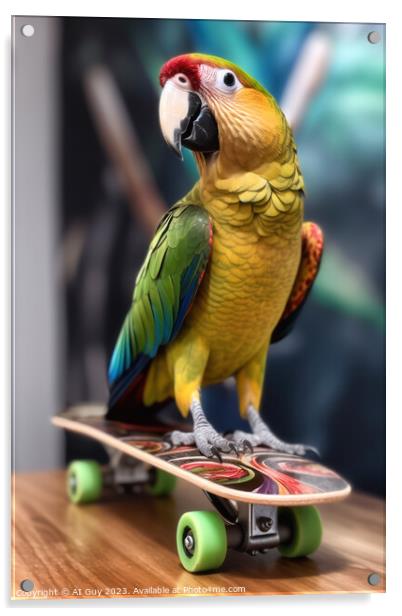 Skateboarding Parrot  Acrylic by Craig Doogan Digital Art