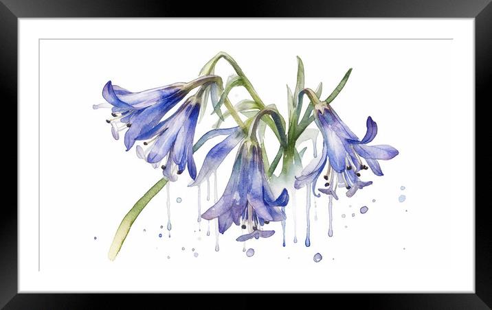 Bluebells Framed Mounted Print by Picture Wizard