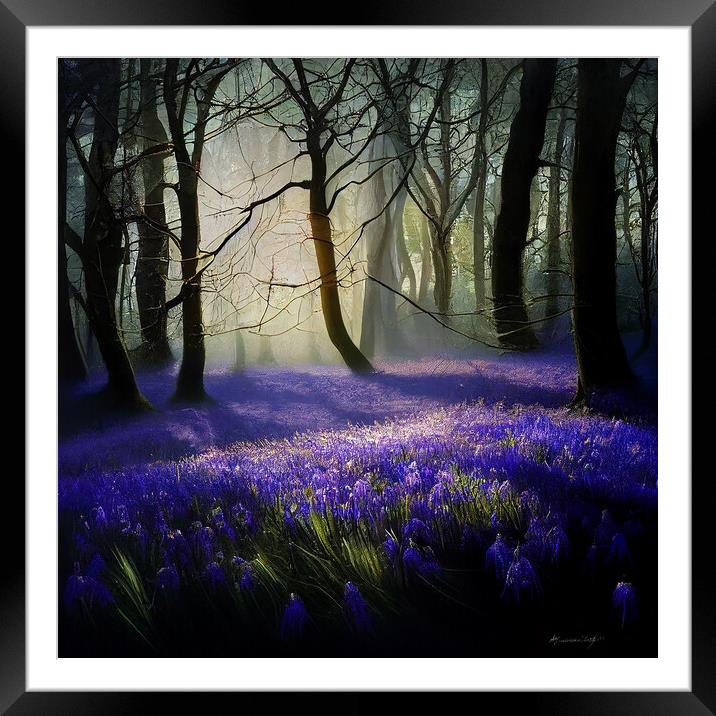 Bluebell Wood Framed Mounted Print by Picture Wizard
