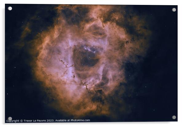 Rosette Nebula Acrylic by Trevor Le Feuvre