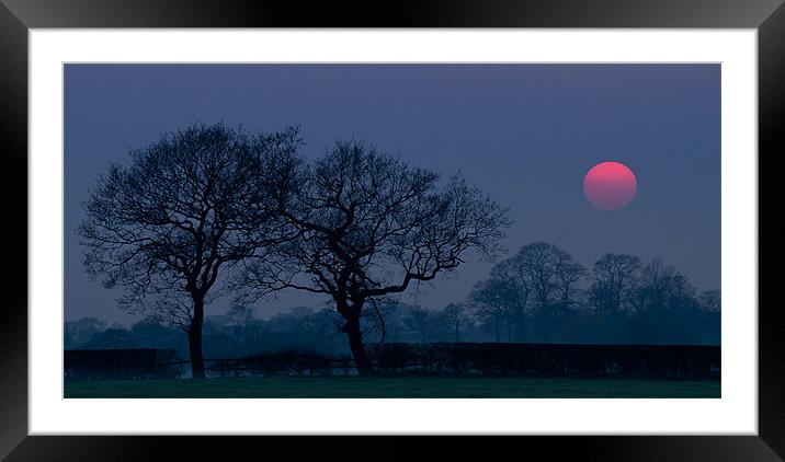2 trees and the sun Framed Mounted Print by Orange FrameStudio
