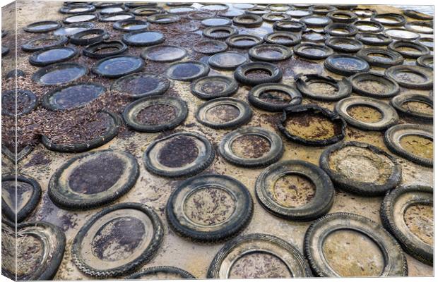 Sea Shore Covered With Old Rubber Tyres Canvas Print by Artur Bogacki