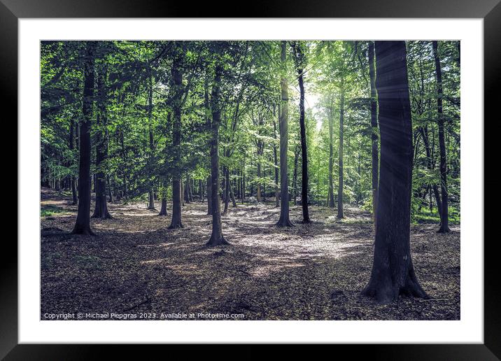 Mysterious fairy tale view into a magical dark blue forest with  Framed Mounted Print by Michael Piepgras