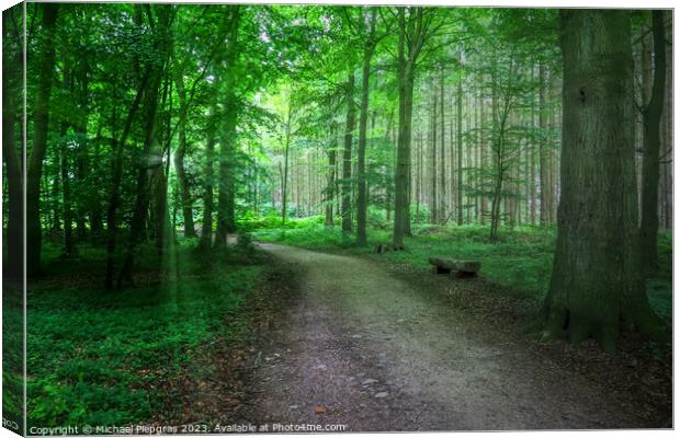 Mysterious view into a magical and spooky forest with light beam Canvas Print by Michael Piepgras