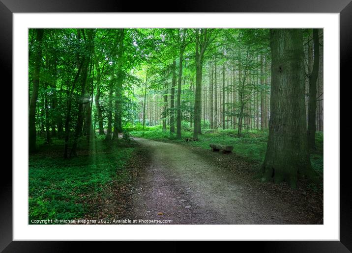 Mysterious view into a magical and spooky forest with light beam Framed Mounted Print by Michael Piepgras