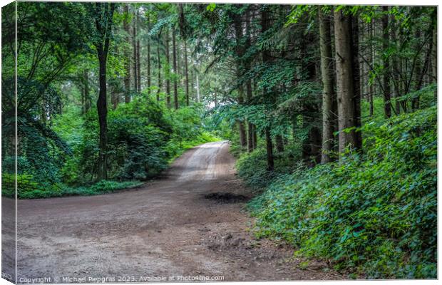 Mysterious fairy tale view into a magical dark blue forest with  Canvas Print by Michael Piepgras