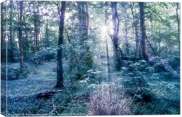 Mysterious fairy tale view into a magical dark blue forest with  Canvas Print by Michael Piepgras