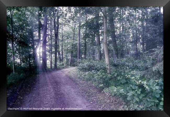 Mysterious fairy tale view into a magical dark blue forest with  Framed Print by Michael Piepgras