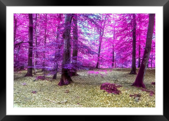Beautiful pink and purple infrared panorama of a countryside lan Framed Mounted Print by Michael Piepgras