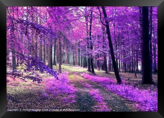 Beautiful pink and purple infrared panorama view into a forest l Framed Print by Michael Piepgras