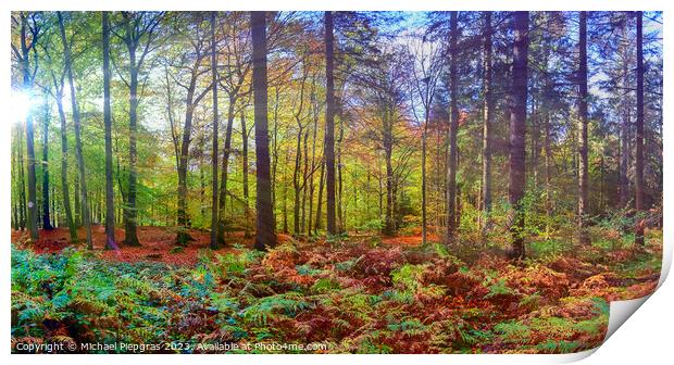 View into a vibrant and colorful autumn forest with fall foliage Print by Michael Piepgras