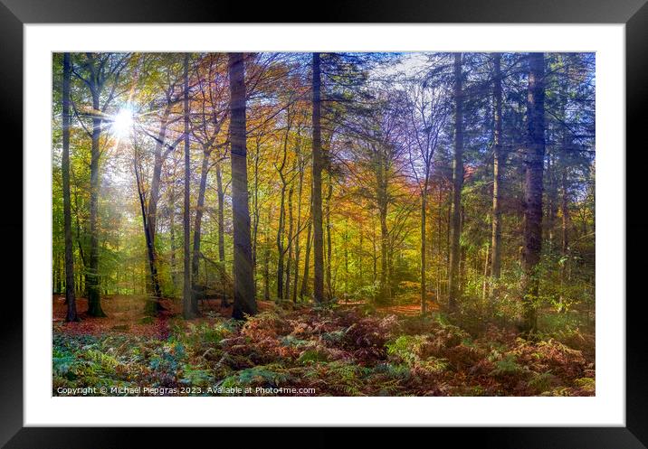 View into a vibrant and colorful autumn forest with fall foliage Framed Mounted Print by Michael Piepgras