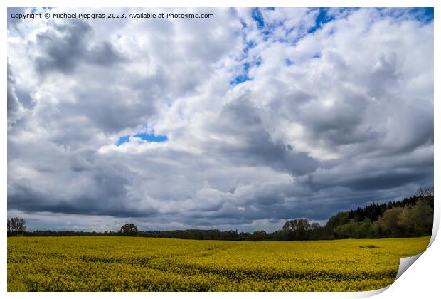 Yellow field of flowering rape and tree against a blue sky with  Print by Michael Piepgras