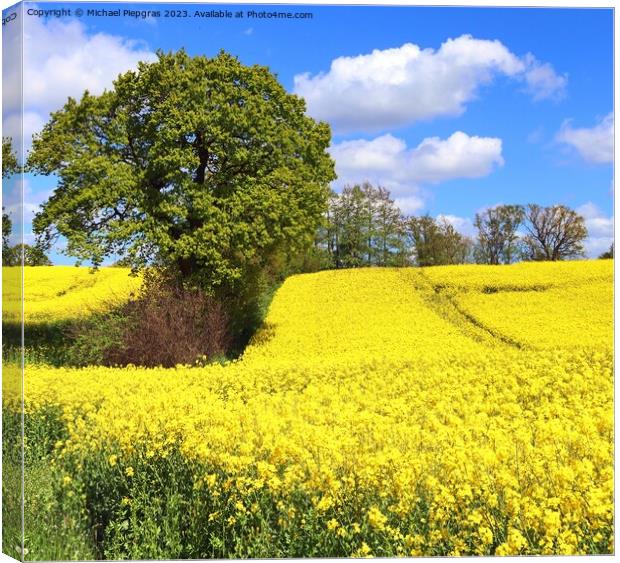 Yellow field of flowering rape and tree against a blue sky with  Canvas Print by Michael Piepgras
