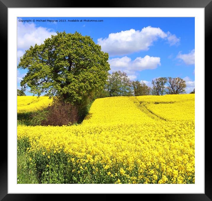 Yellow field of flowering rape and tree against a blue sky with  Framed Mounted Print by Michael Piepgras