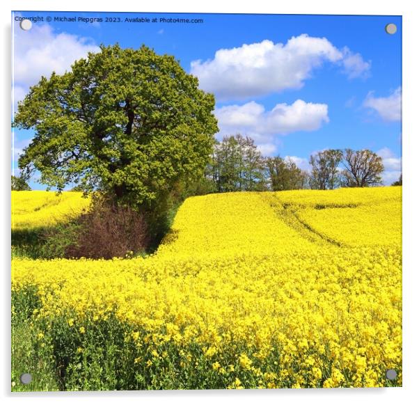 Yellow field of flowering rape and tree against a blue sky with  Acrylic by Michael Piepgras