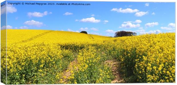 Yellow field of flowering rape and tree against a blue sky with  Canvas Print by Michael Piepgras