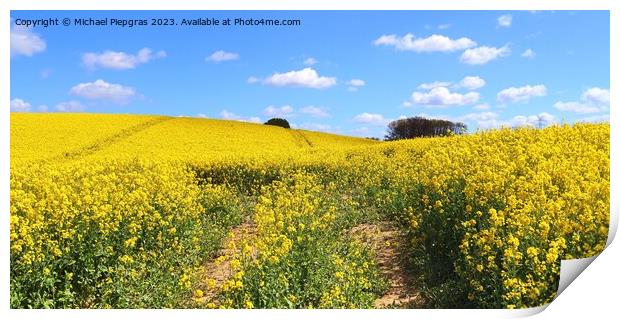 Yellow field of flowering rape and tree against a blue sky with  Print by Michael Piepgras