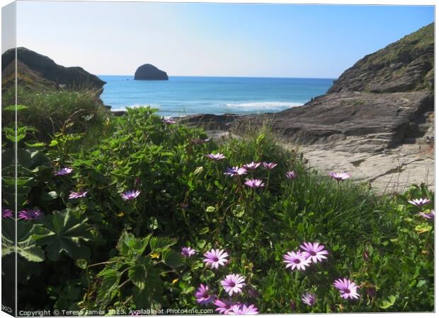 Coastal flowers with sea in background  Canvas Print by Teresa James